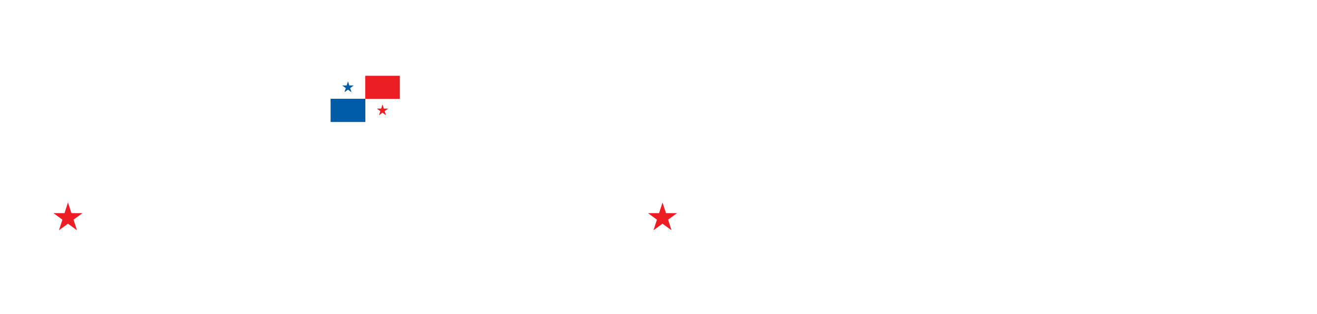 AIG Logo